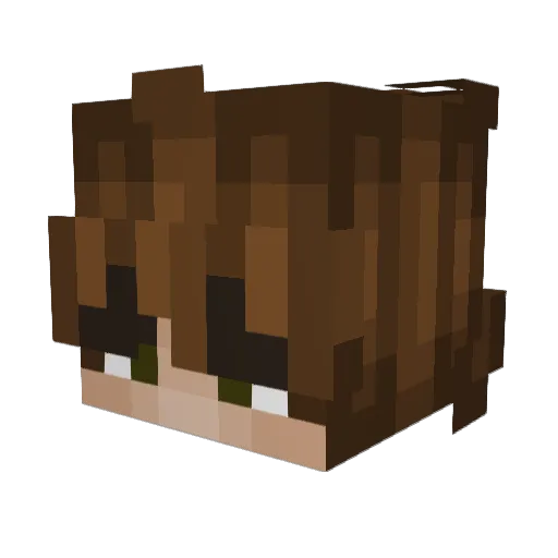 AcusticSlimShady Minecraft avatar head, 3D render
