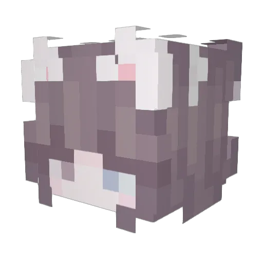 Acwuy Minecraft avatar head, 3D render