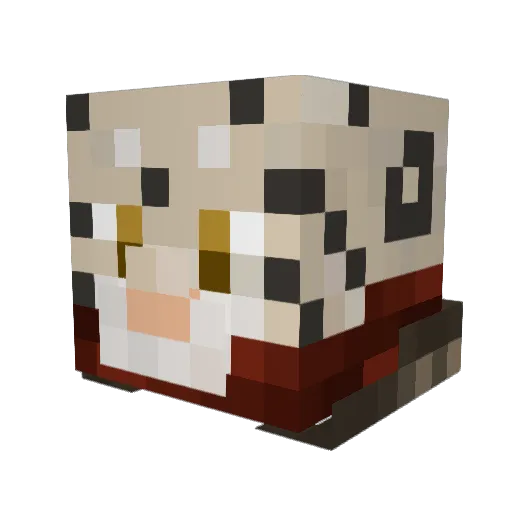 Acyn_Pines Minecraft avatar head, 3D render
