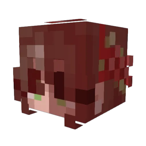 AdEl_23 Minecraft avatar head, 3D render