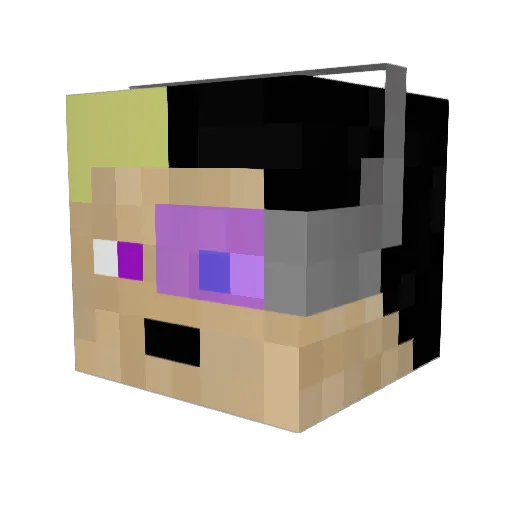AdIdAsPaCaN Minecraft avatar head, 3D render