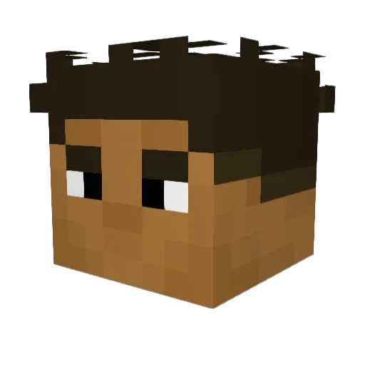 AdRyanN1 Minecraft avatar head, 3D render