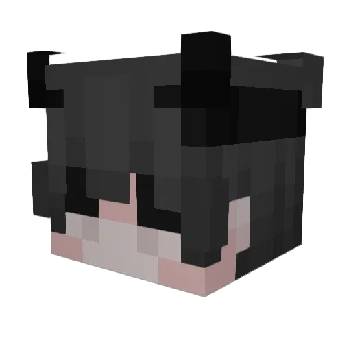 AdViseqq Minecraft avatar head, 3D render