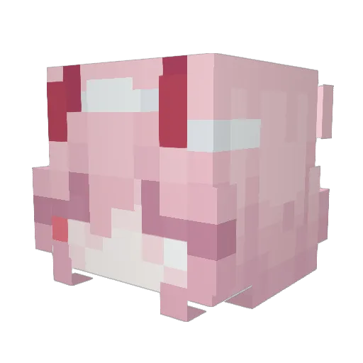 AdaTyv Minecraft avatar head, 3D render