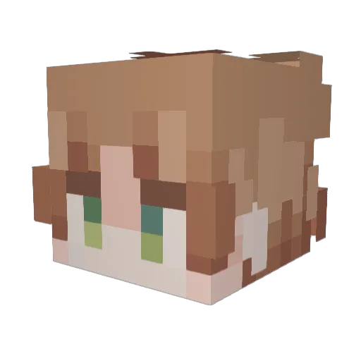 Ada_919 Minecraft avatar head, 3D render