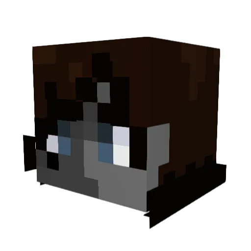 Ada_Midnite Minecraft avatar head, 3D render