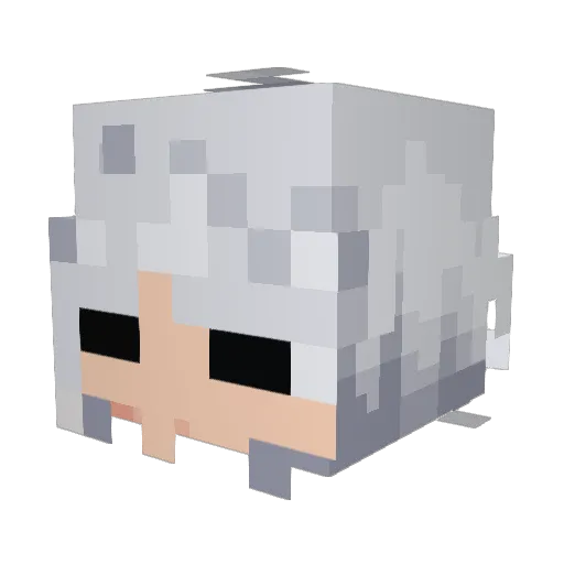Adaan30 Minecraft avatar head, 3D render