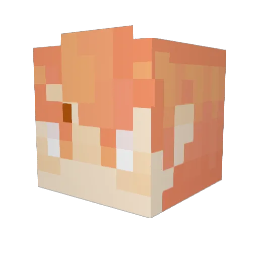 AdachiBSide Minecraft avatar head, 3D render