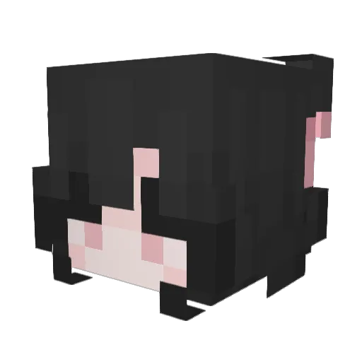 Adairoo Minecraft avatar head, 3D render