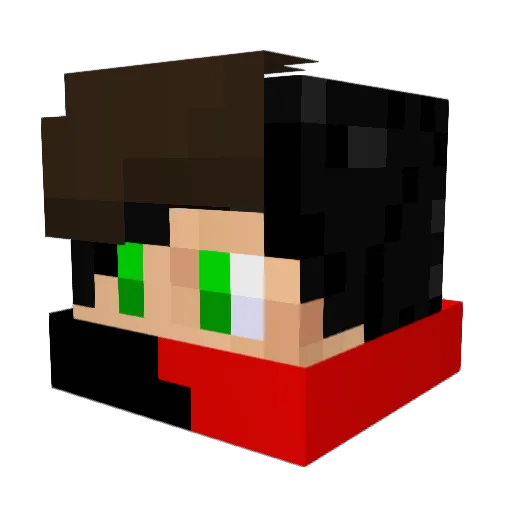 Adam1009 Minecraft avatar head, 3D render