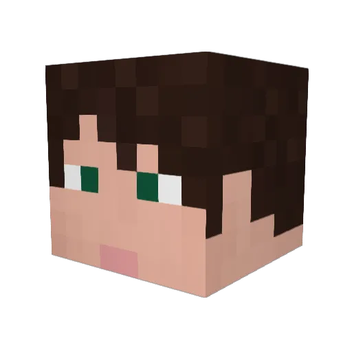 Adam5596 Minecraft avatar head, 3D render