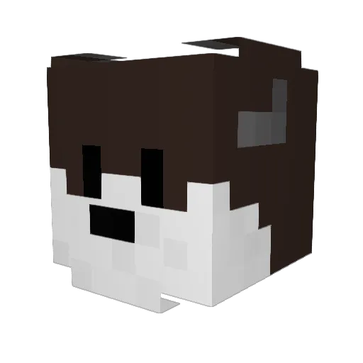 Adam9731 Minecraft avatar head, 3D render