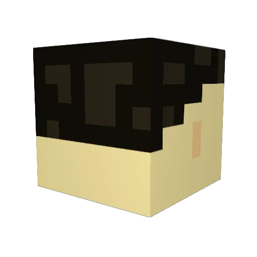 Adam993413 Minecraft avatar head, 3D render