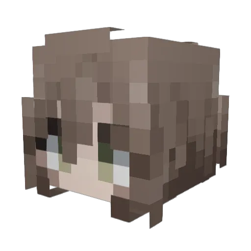 AdamCalding Minecraft avatar head, 3D render
