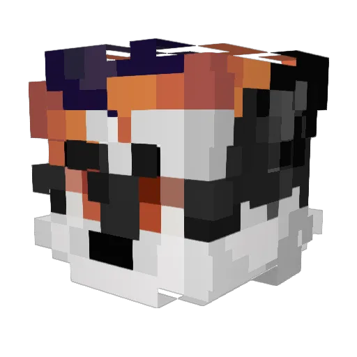 AdamEightTheFox Minecraft avatar head, 3D render