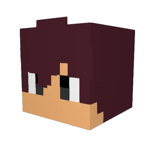 AdamFury001 Minecraft avatar head, 3D render