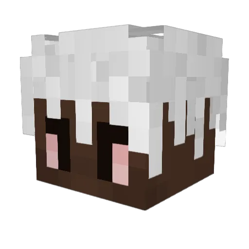 AdamGoBoom Minecraft avatar head, 3D render