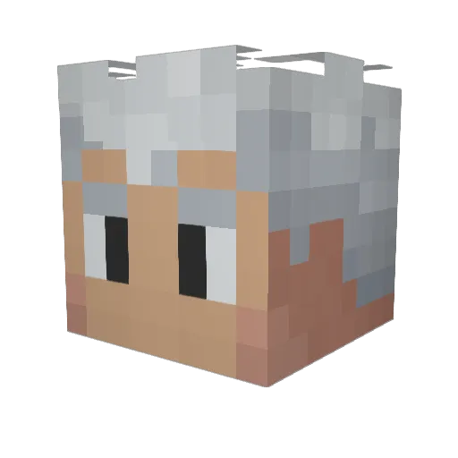 AdamLK10 Minecraft avatar head, 3D render