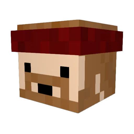 AdamMontoya Minecraft avatar head, 3D render