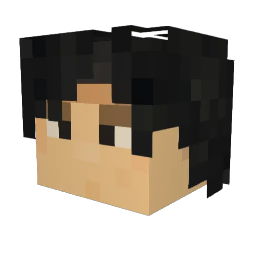 AdamNico Minecraft avatar head, 3D render