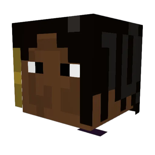 AdamOO7 Minecraft avatar head, 3D render