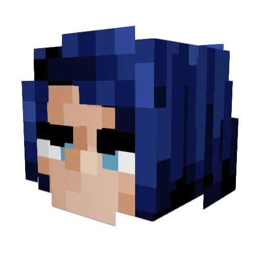 AdamPadam3516 Minecraft avatar head, 3D render