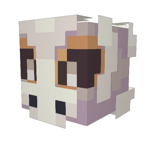 AdamParrishFr Minecraft avatar head, 3D render