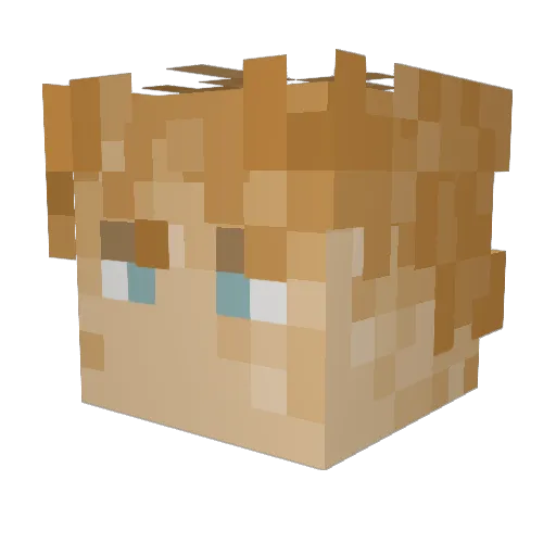 AdamParrish_ Minecraft avatar head, 3D render