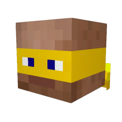 AdamSidhom Minecraft avatar head, 3D render