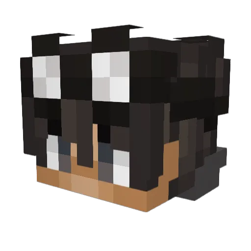 AdamTrick Minecraft avatar head, 3D render
