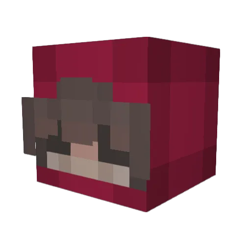 AdamXcS Minecraft avatar head, 3D render