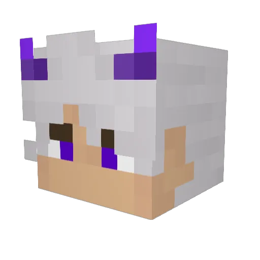 AdamXkin Minecraft avatar head, 3D render
