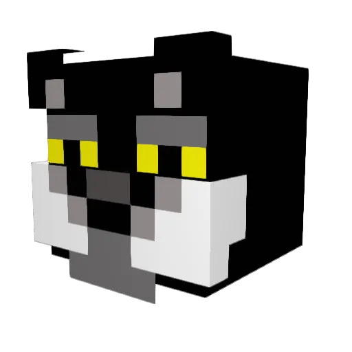 Adam_Liu_JW Minecraft avatar head, 3D render