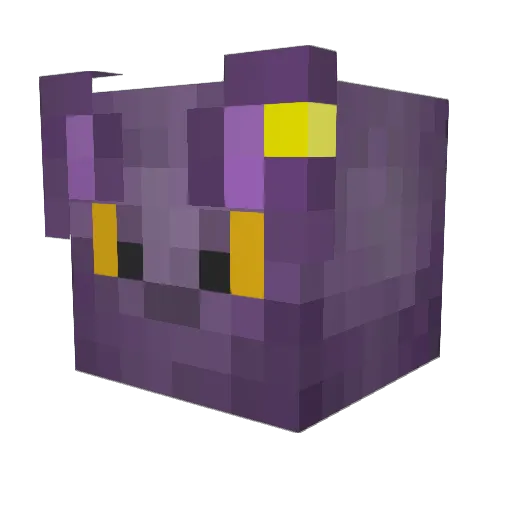 Adam_bs Minecraft avatar head, 3D render
