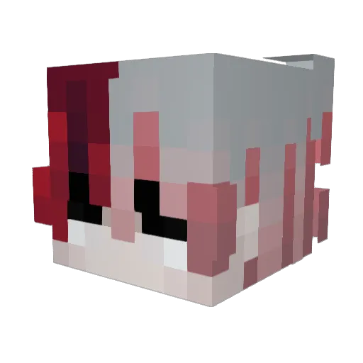 Adam_hraje_ Minecraft avatar head, 3D render