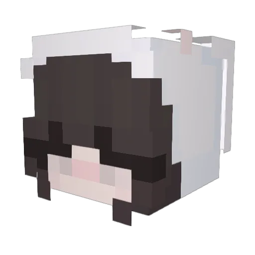 Adamabe1 Minecraft avatar head, 3D render