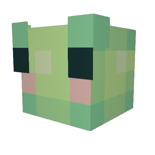 Adamandfrogs Minecraft avatar head, 3D render