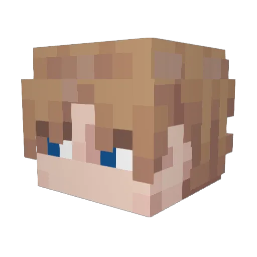 Adamantium119 Minecraft avatar head, 3D render