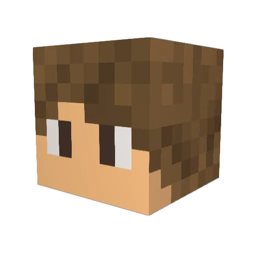 AdameQu19 Minecraft avatar head, 3D render