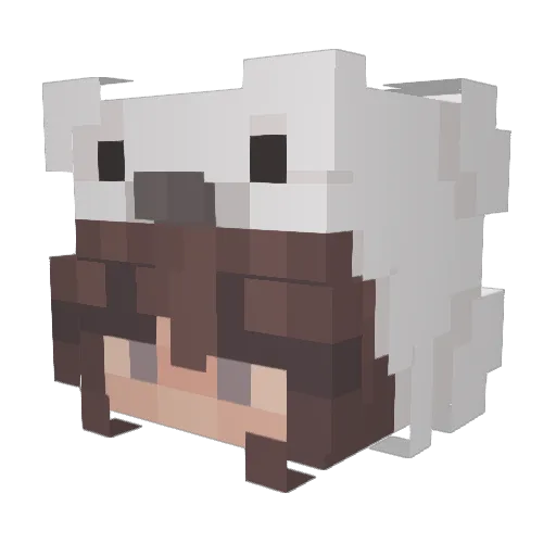 Adamika26 Minecraft avatar head, 3D render