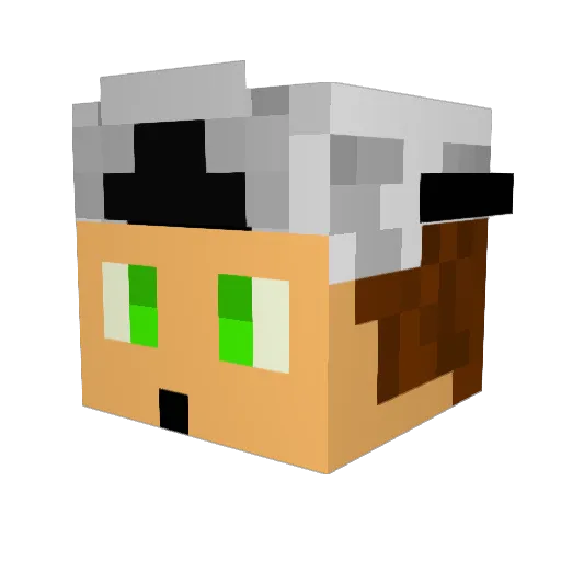 Adamito1 Minecraft avatar head, 3D render