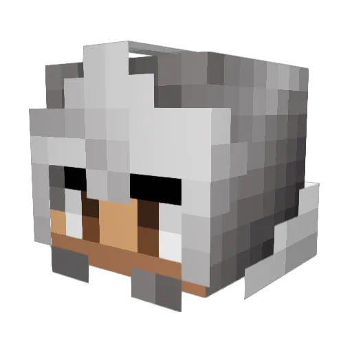 Adamito_18 Minecraft avatar head, 3D render