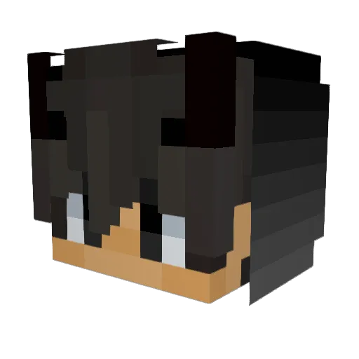 Adams29 Minecraft avatar head, 3D render