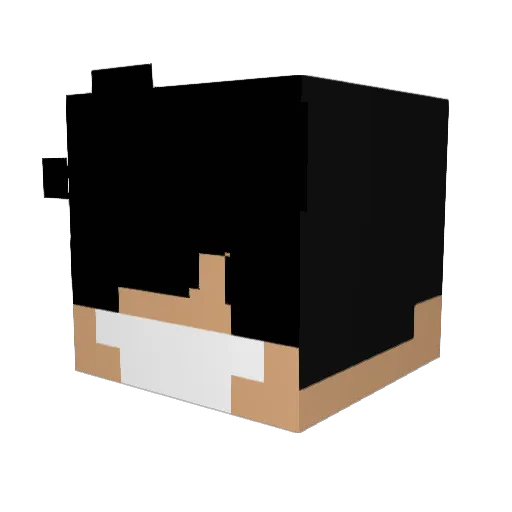AdamsForReal Minecraft avatar head, 3D render