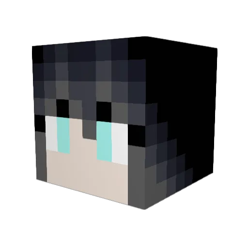 Adamsky777 Minecraft avatar head, 3D render