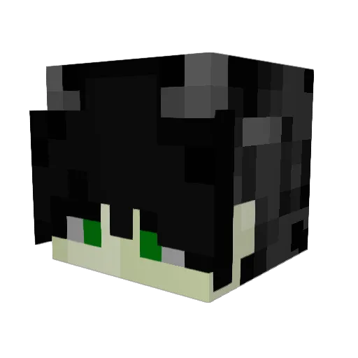AdamxEmma Minecraft avatar head, 3D render