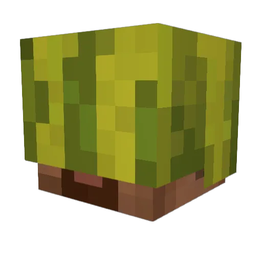 Adan2smen Minecraft avatar head, 3D render