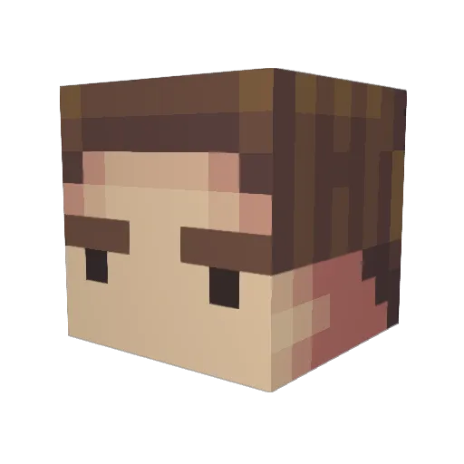 Adanonymous Minecraft avatar head, 3D render
