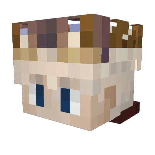 Adant Minecraft avatar head, 3D render