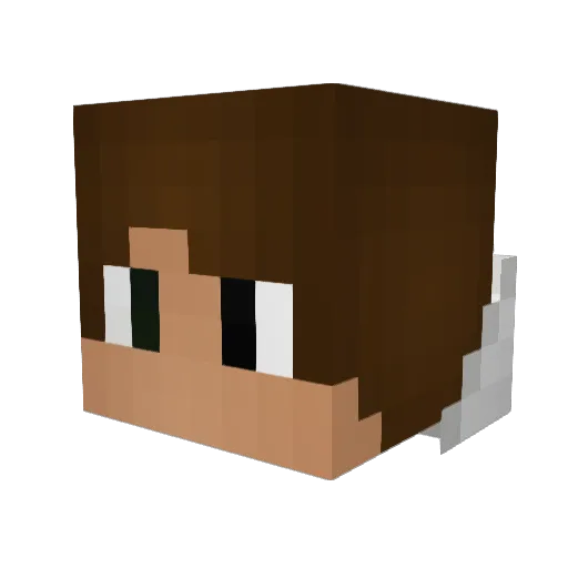 AdarCraftFTW Minecraft avatar head, 3D render